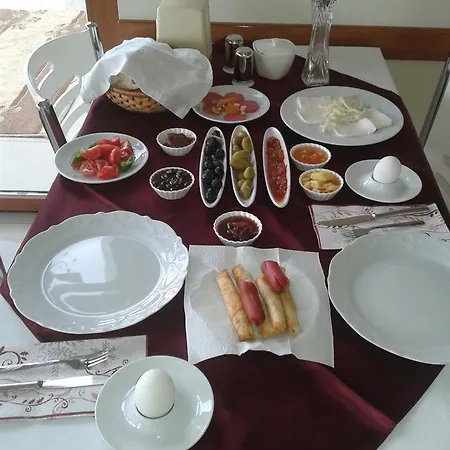 Baskent 酒店 迪基利