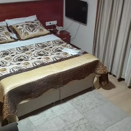 酒店 Baskent 迪基利