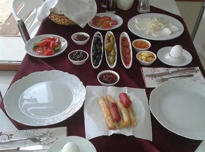 Baskent Hotel Dikili