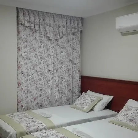 Baskent Hotel 3*